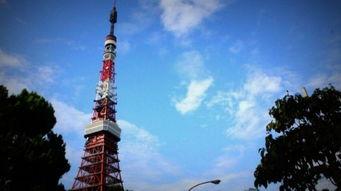 在线观看《东京塔》,跨越时空的母女情缘,探寻都市中的温情与孤独 第2张 在线观看《东京塔》,跨越时空的母女情缘,探寻都市中的温情与孤独 第2张