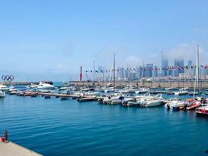 青岛爆料最新事件,揭秘XX真相，引发社会关注